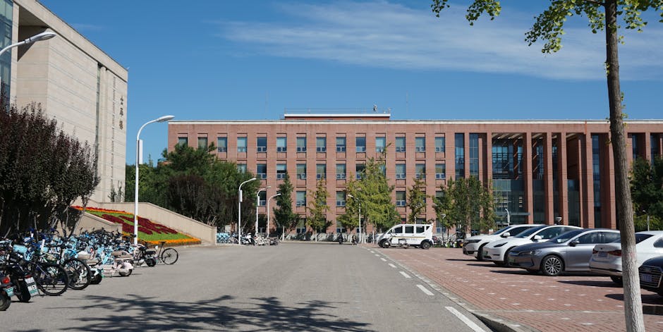 Data and fieldwork backdrop